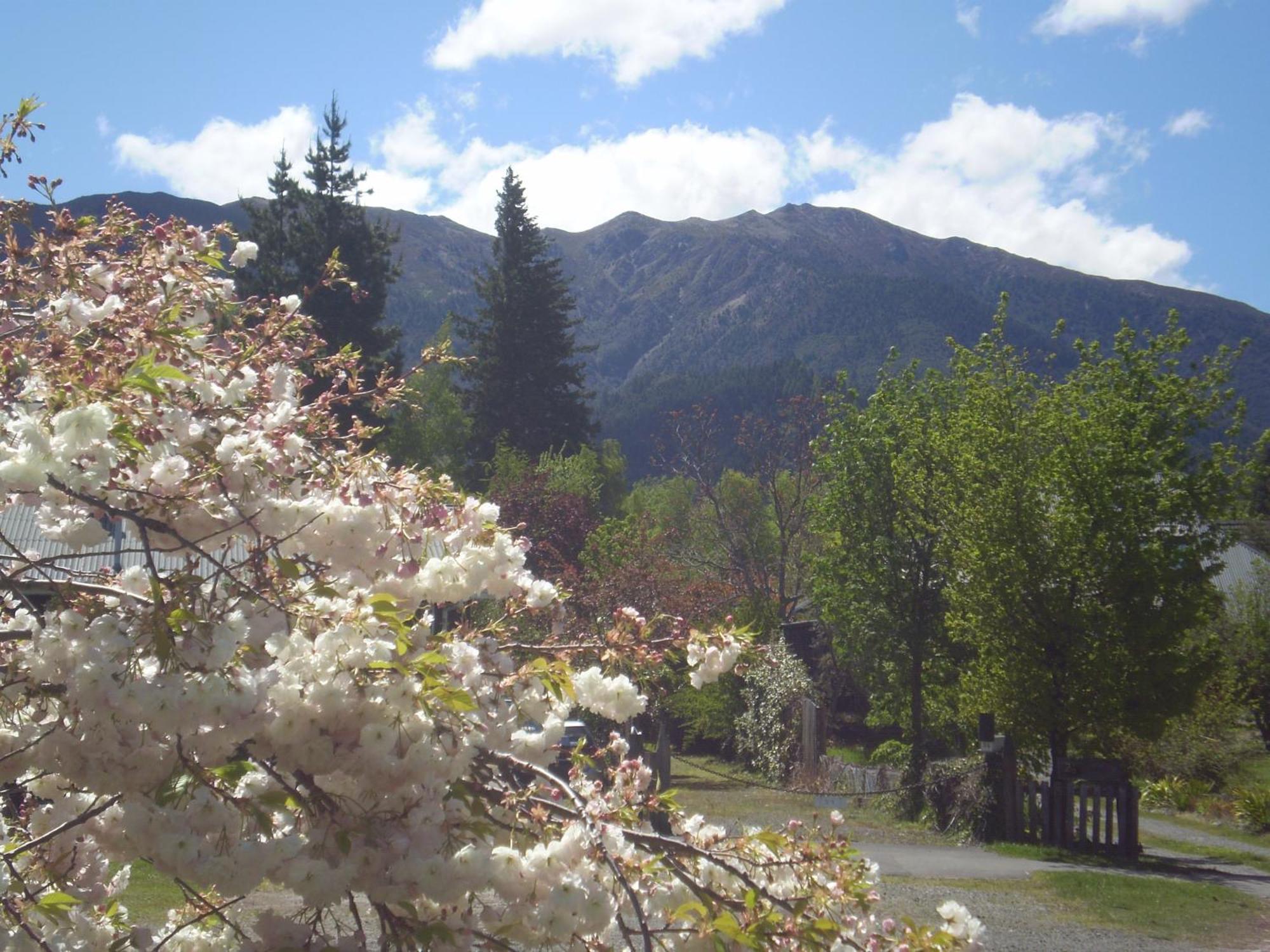 Harrogate Gardens Motel Hanmer Springs Eksteriør bilde