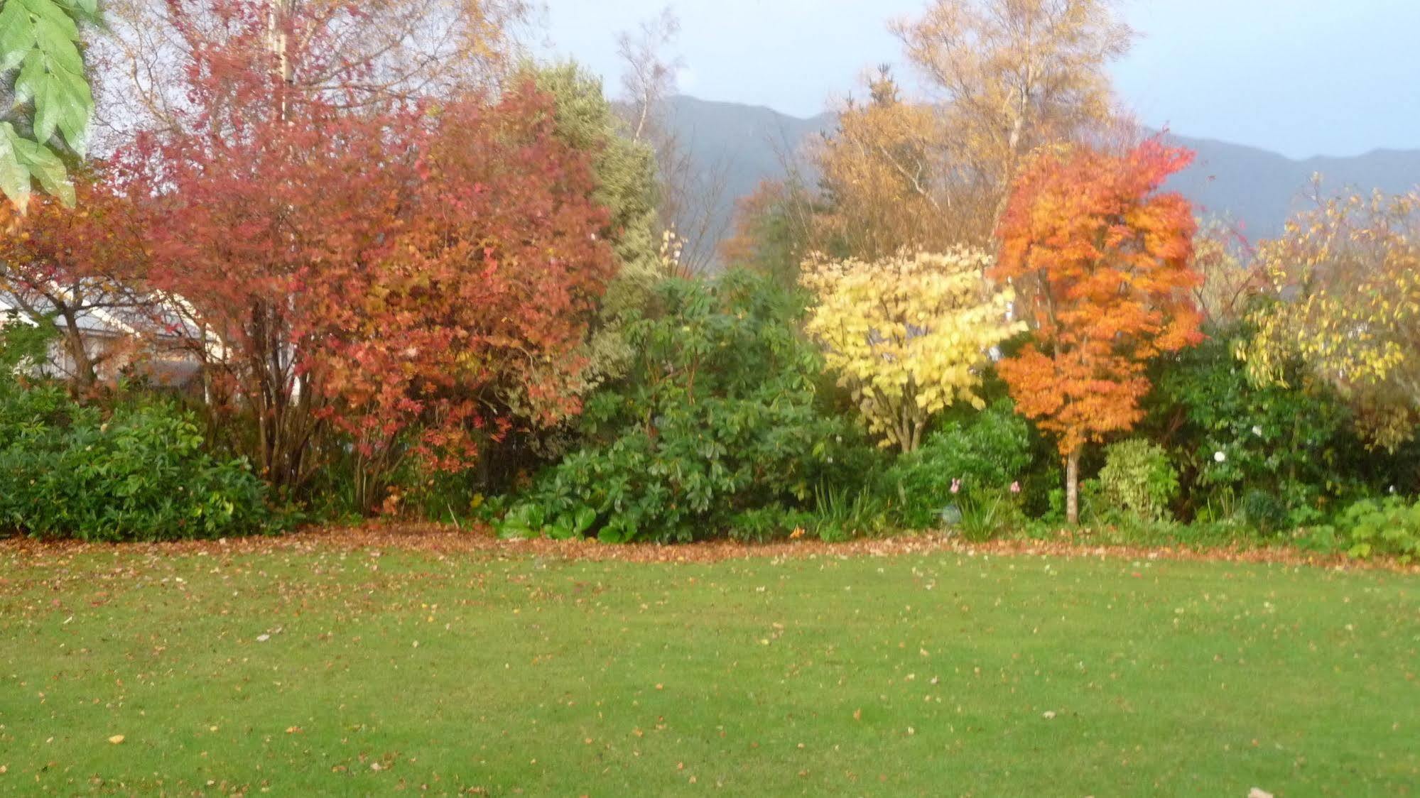 Harrogate Gardens Motel Hanmer Springs Eksteriør bilde